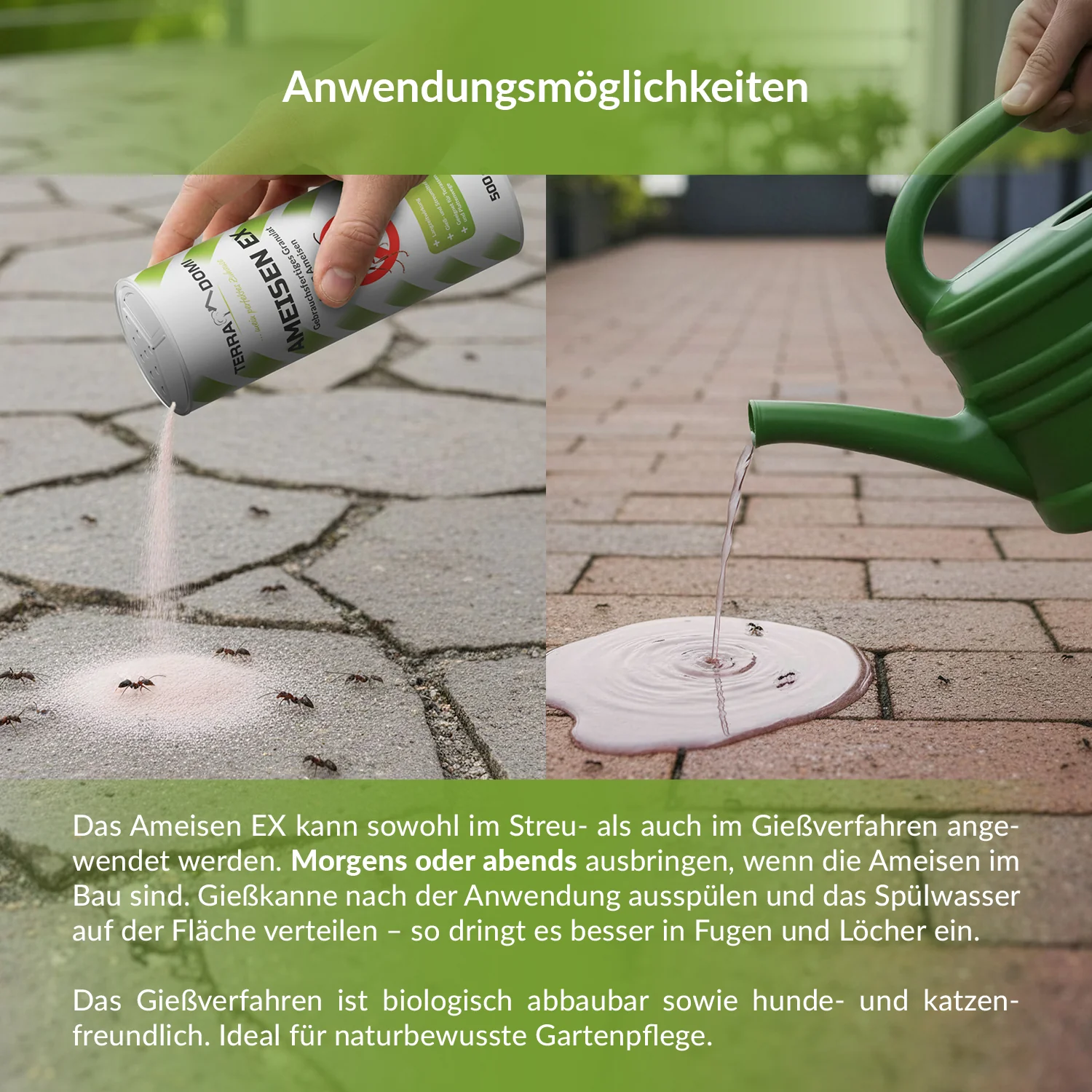 Ameisengift I Streu- & Gießmittel I Insektizid mit Langzeitwirkung - Image 4