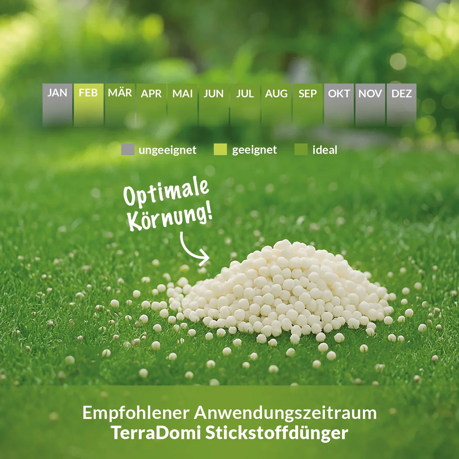 Ammonsulfatsalpeter N26 Stickstoff-Dünger - Image 7