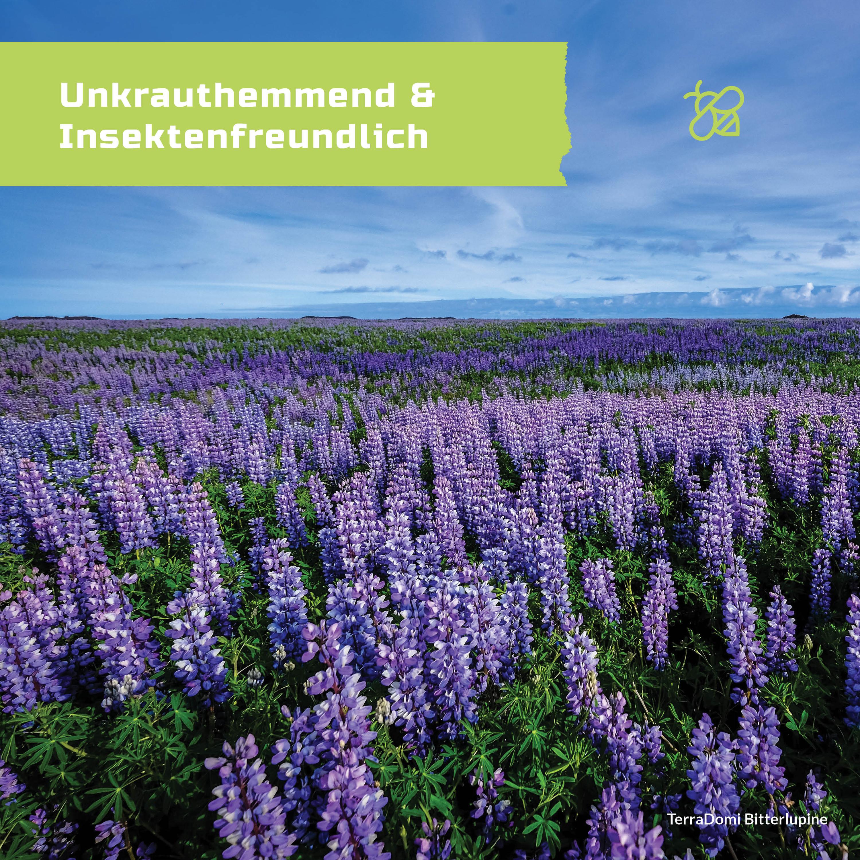 TerraDomi 500g Bitterlupinen I tiefwurzelnd und bodenauflockernd - Image 4