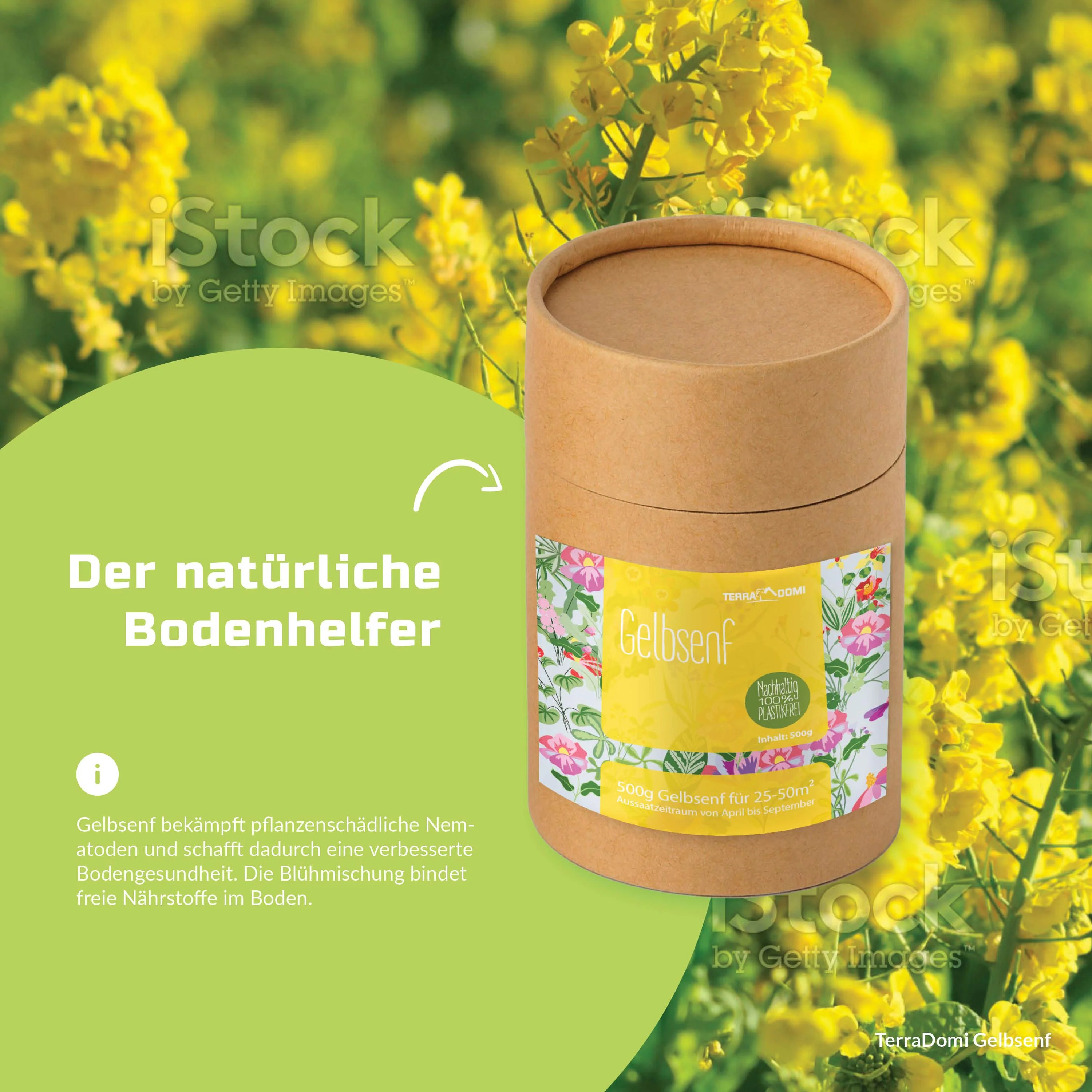 TerraDomi 500g Gelbsenf I Kreuzblütler - Image 5