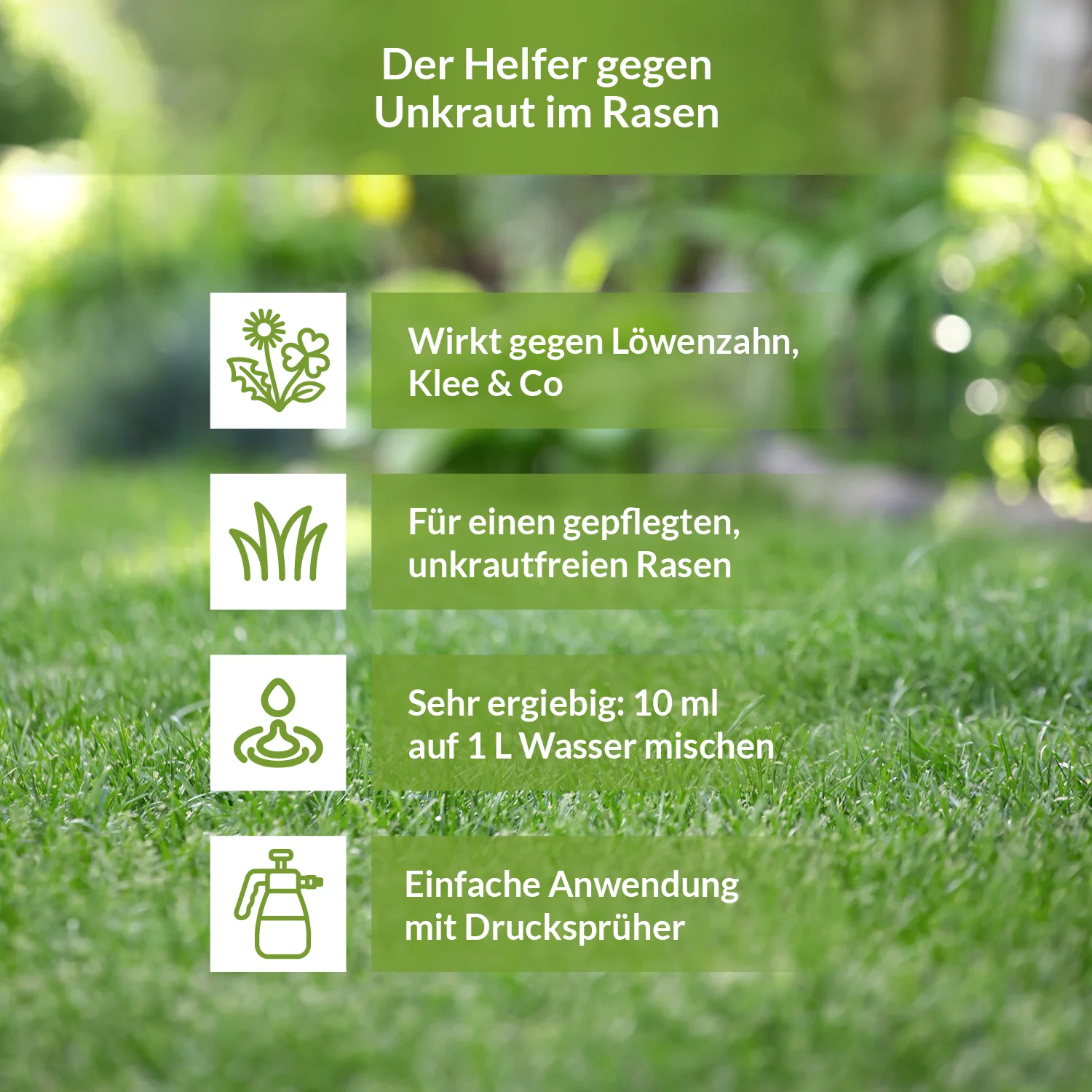 Dicotex Rasenunkrautvernichter - Image 3