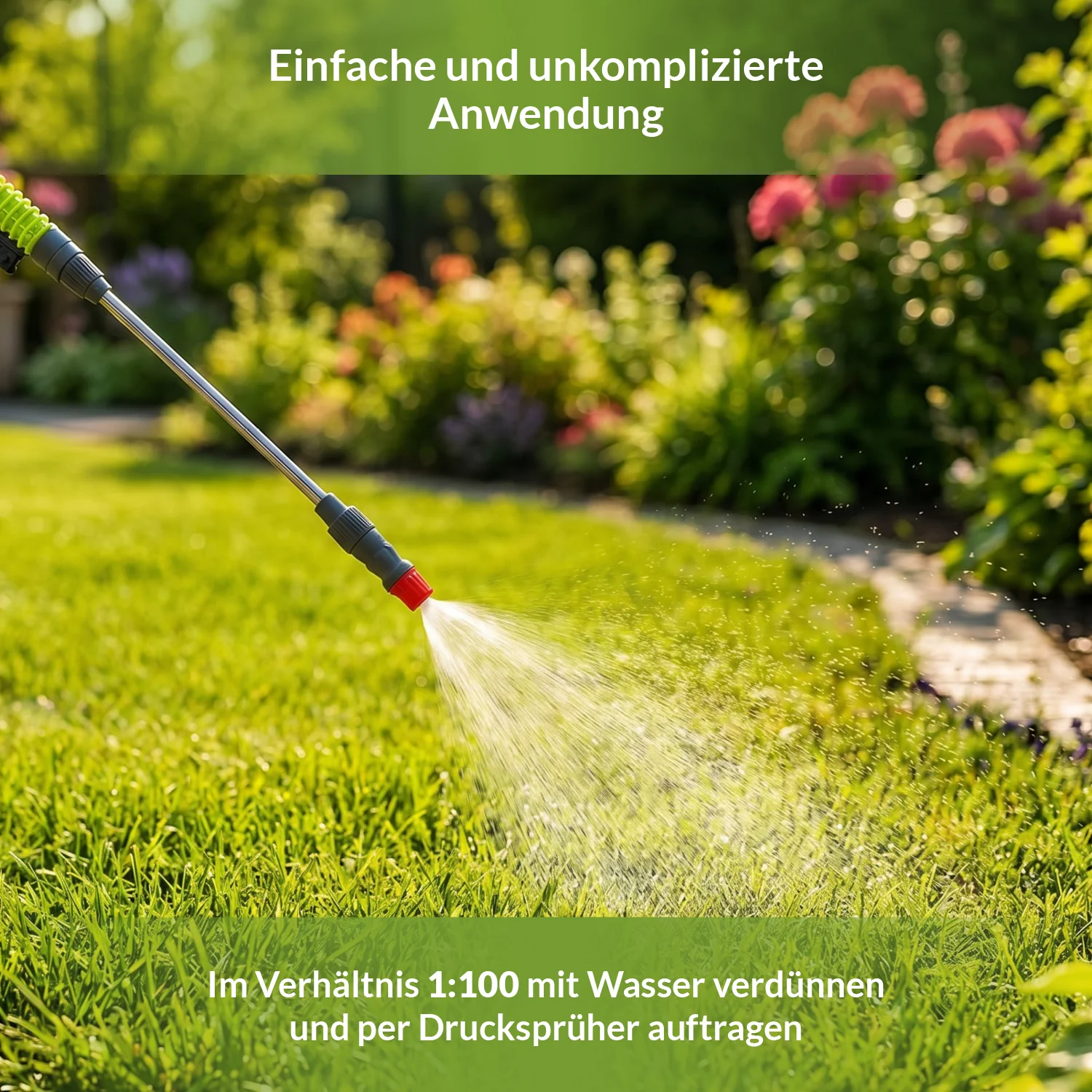 Dicotex Rasenunkrautvernichter - Image 6