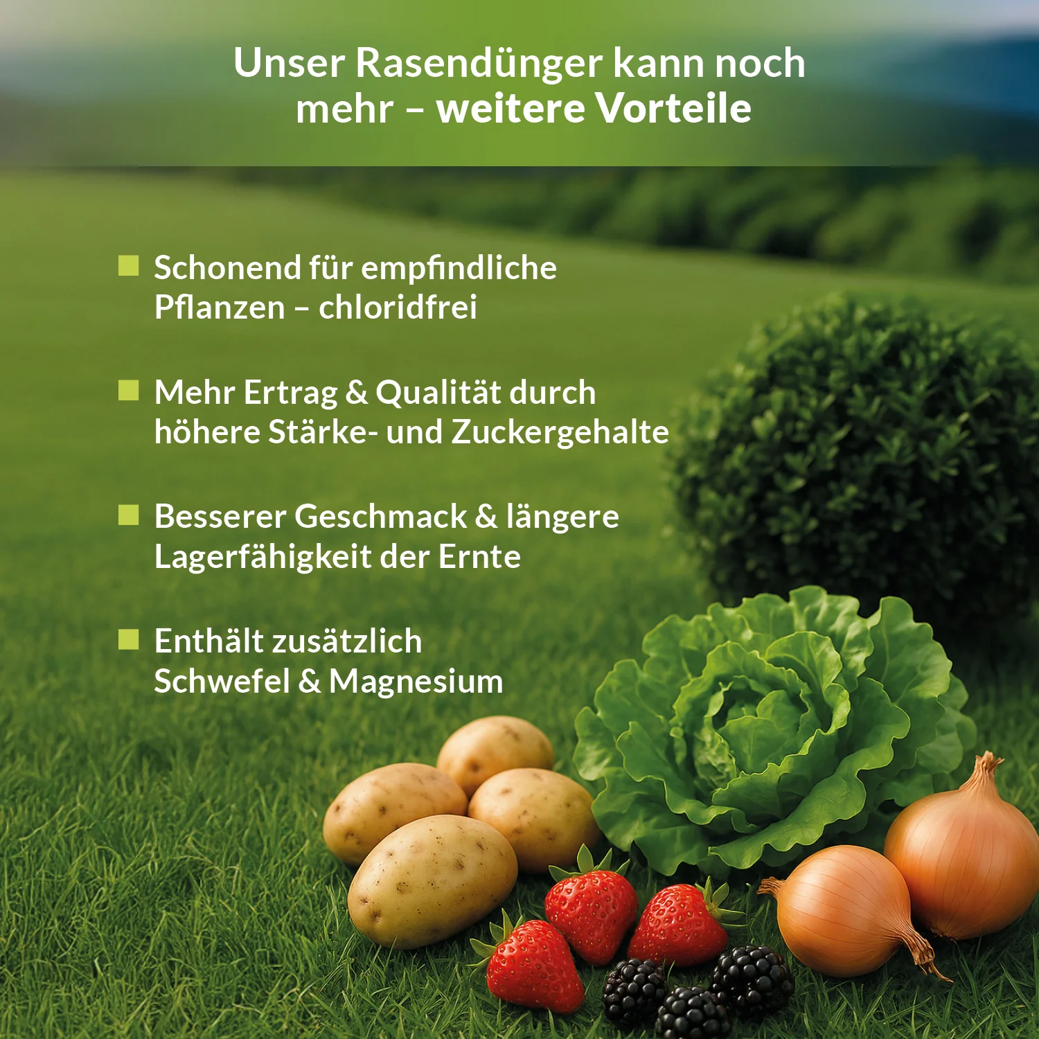 Herbstdünger Kali Dünger Kalium Dünger I Wurzelstärkung und Pflanzenkräftigung - Image 3