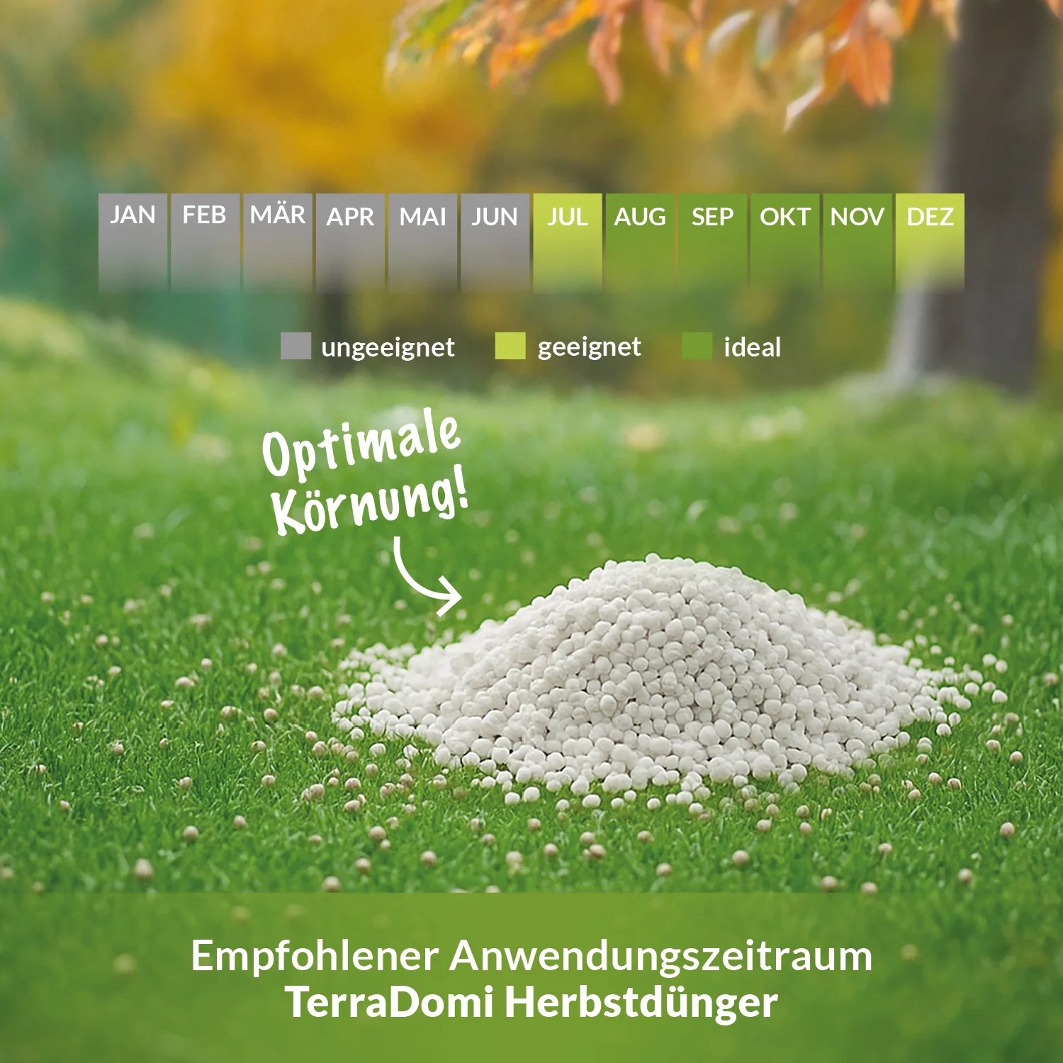 Herbstdünger Kali Dünger Kalium Dünger I Wurzelstärkung und Pflanzenkräftigung - Image 6