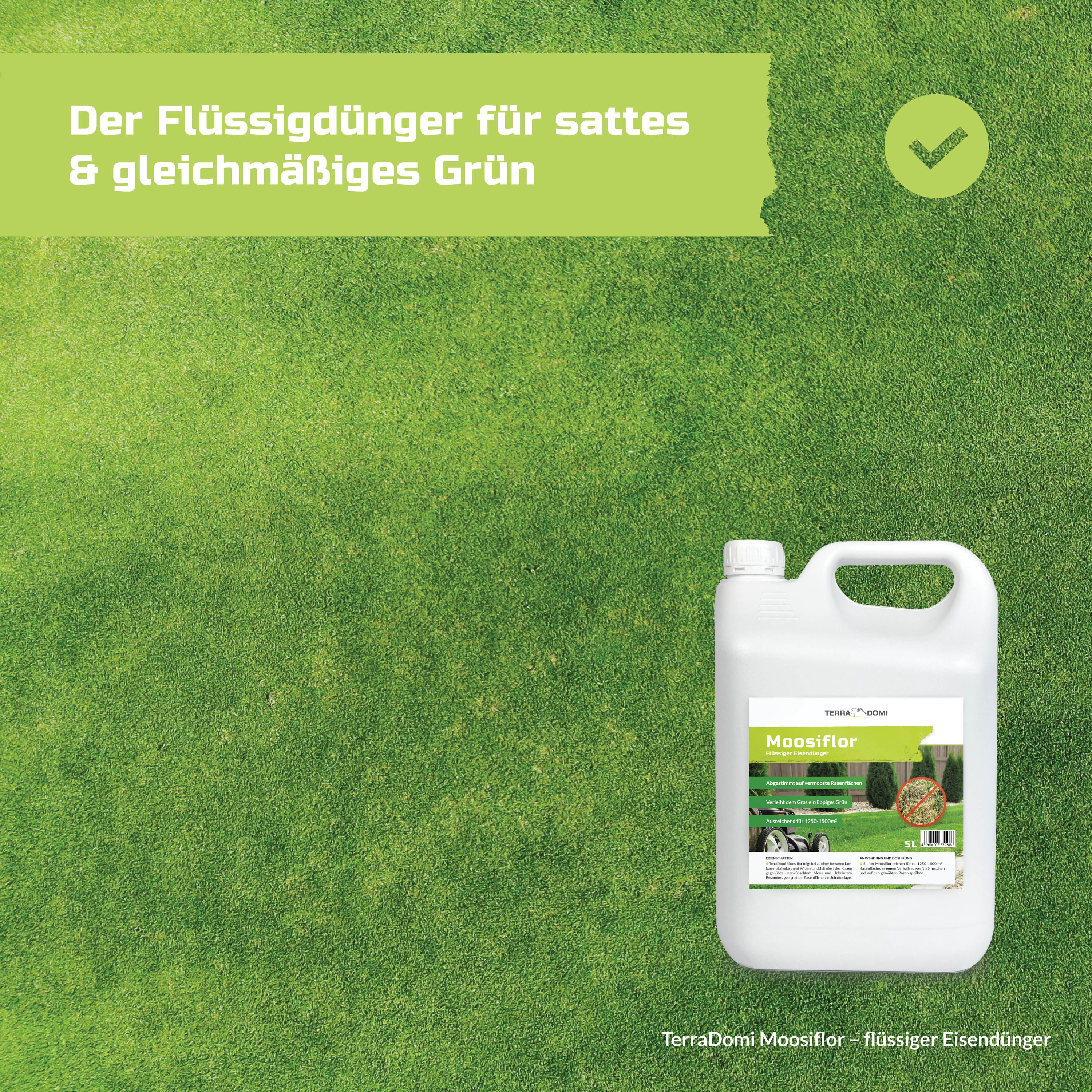TerraDomi Moosiflor | flüssiger Eisendünger für vermooste Rasenflächen - Image 4