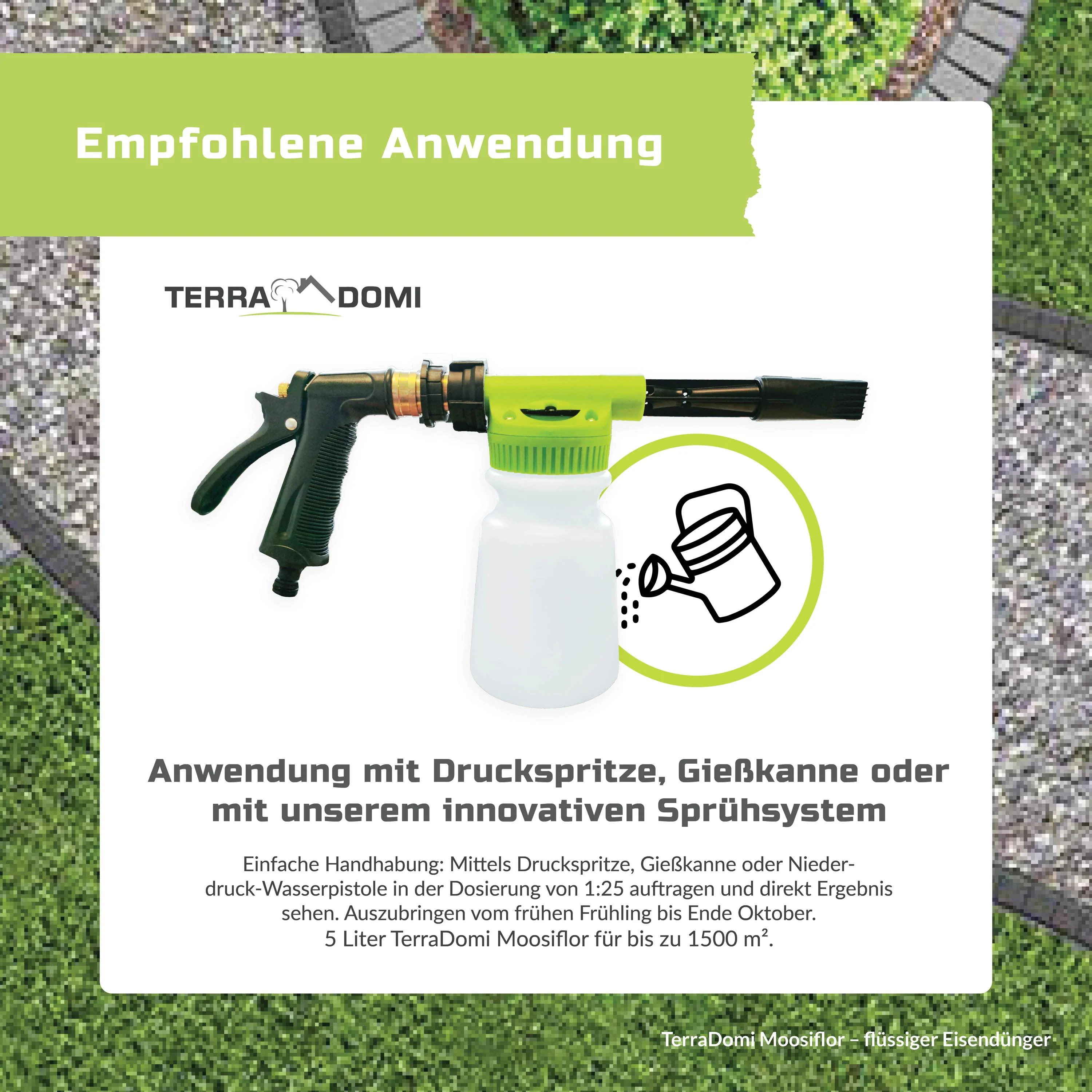 TerraDomi Moosiflor | flüssiger Eisendünger für vermooste Rasenflächen - Image 5