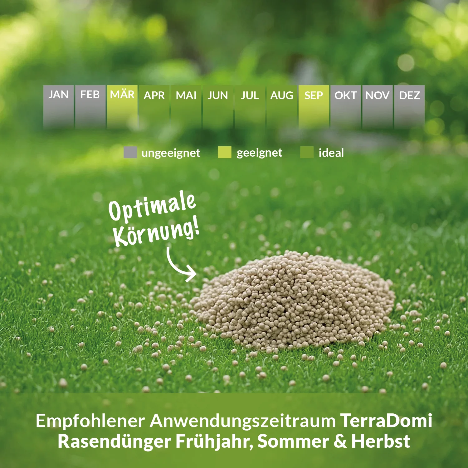 Volldünger NPK 15-15-15 Frühjahr, Sommer und Herbst - Image 7