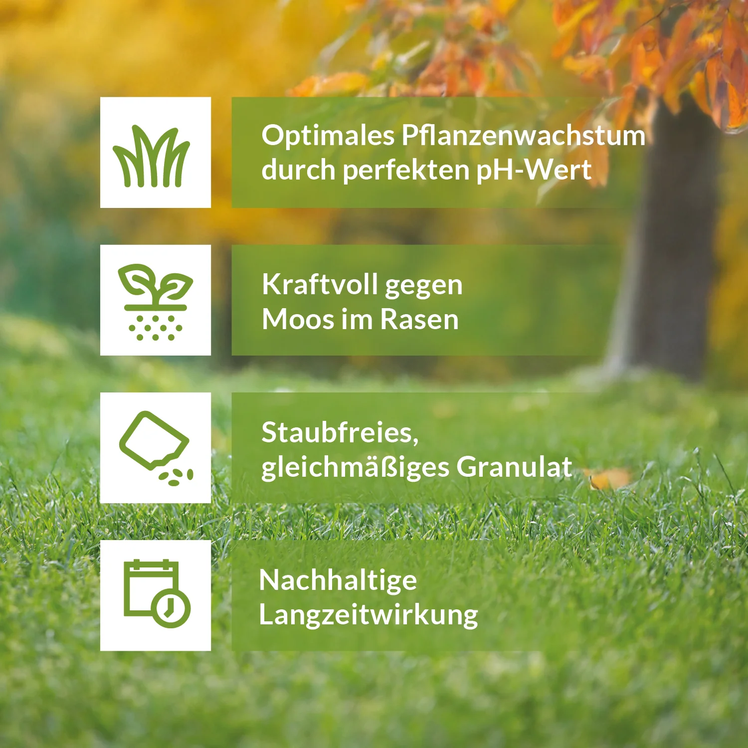 Rasenkalk & Gartenkalk - Image 4