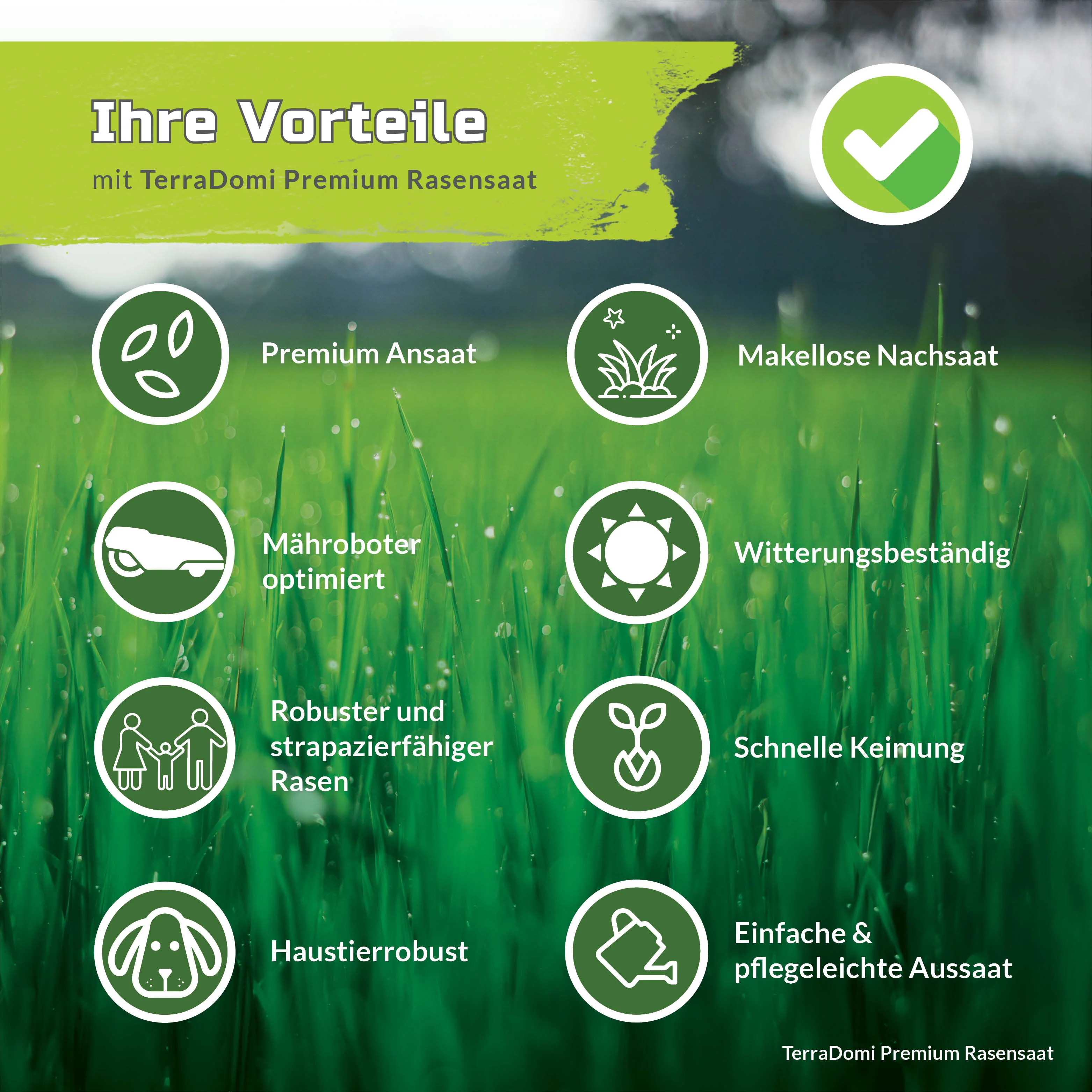 Premium Rasensamen für An- & Nachsaat I strapazierfähige und robuste Rasensaat der Greenkeeper - Image 9