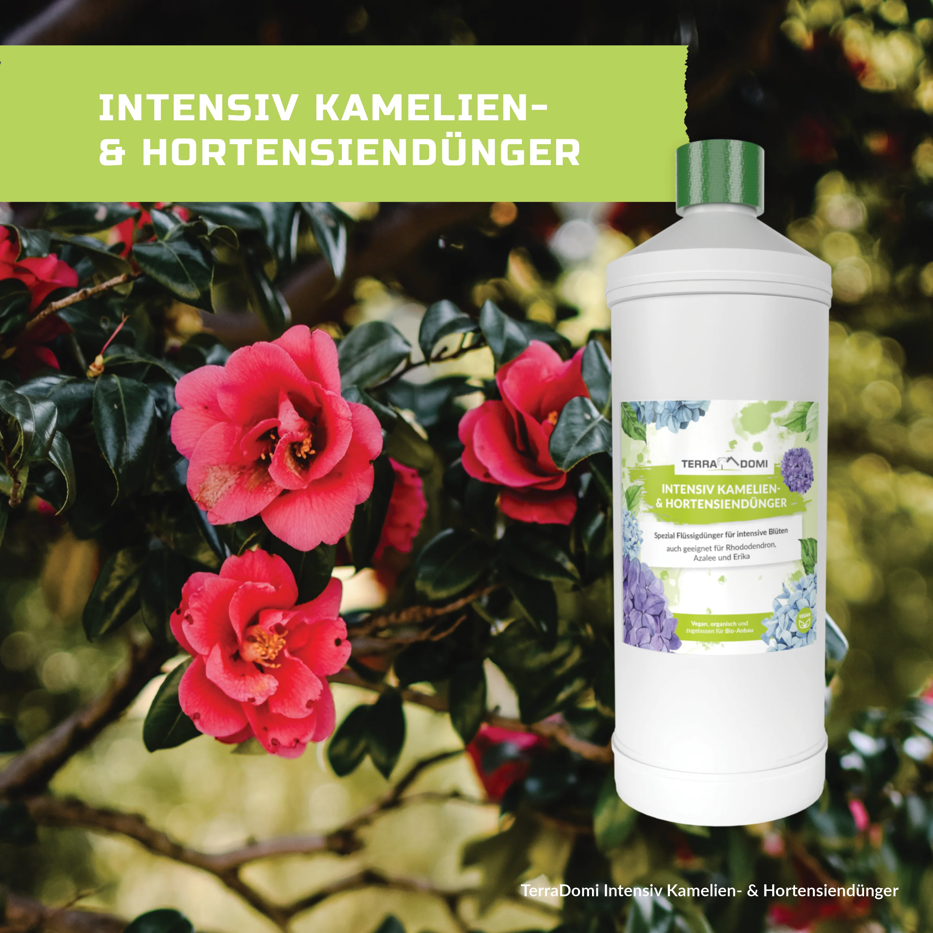 TerraDomi Kamelien- und Hortensiendünger 1 Liter Flüssigdünger Konzentrat - Image 7