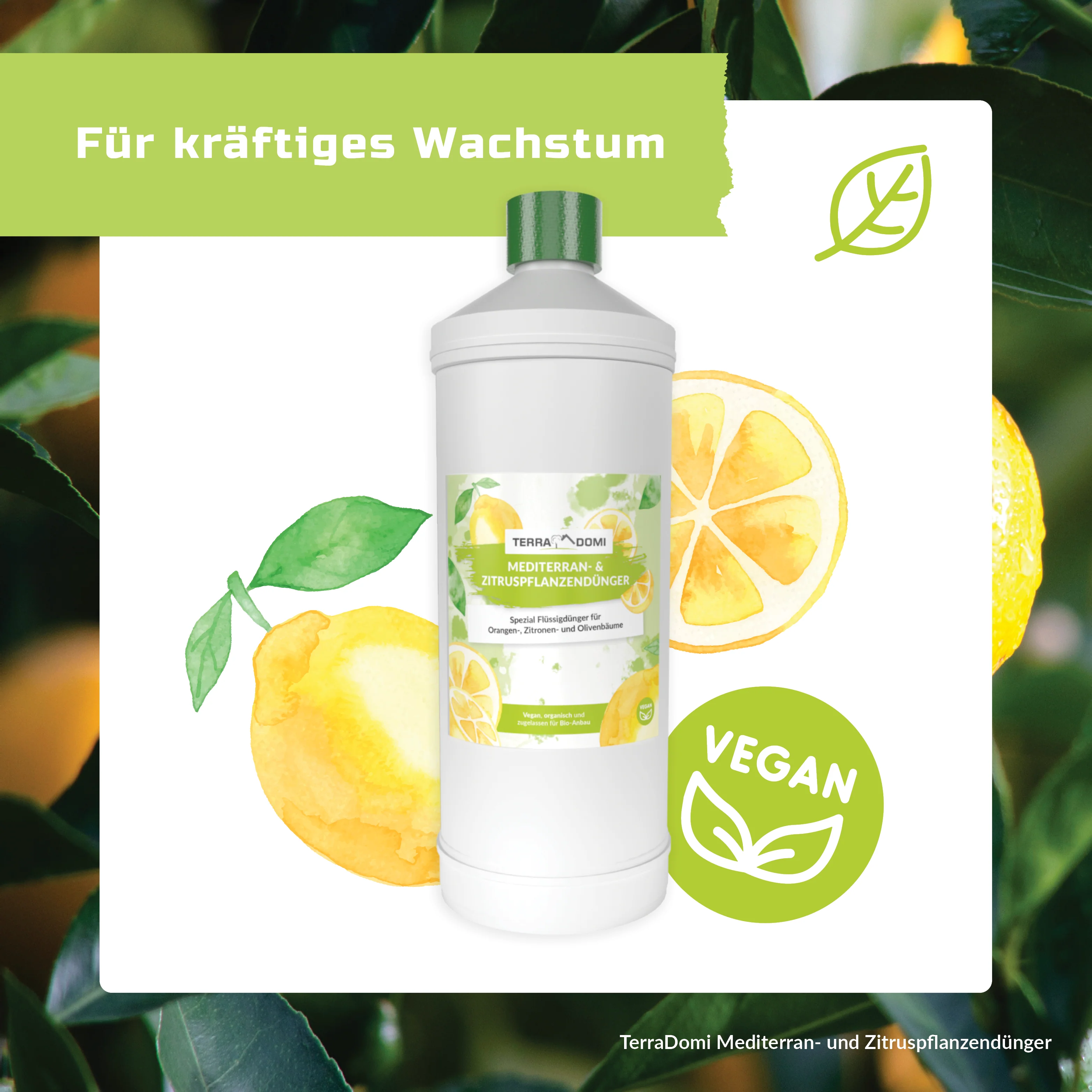 TerraDomi Mediterran- & Zitruspflanzendünger 1 Liter Flüssigdünger Konzentrat - Image 4
