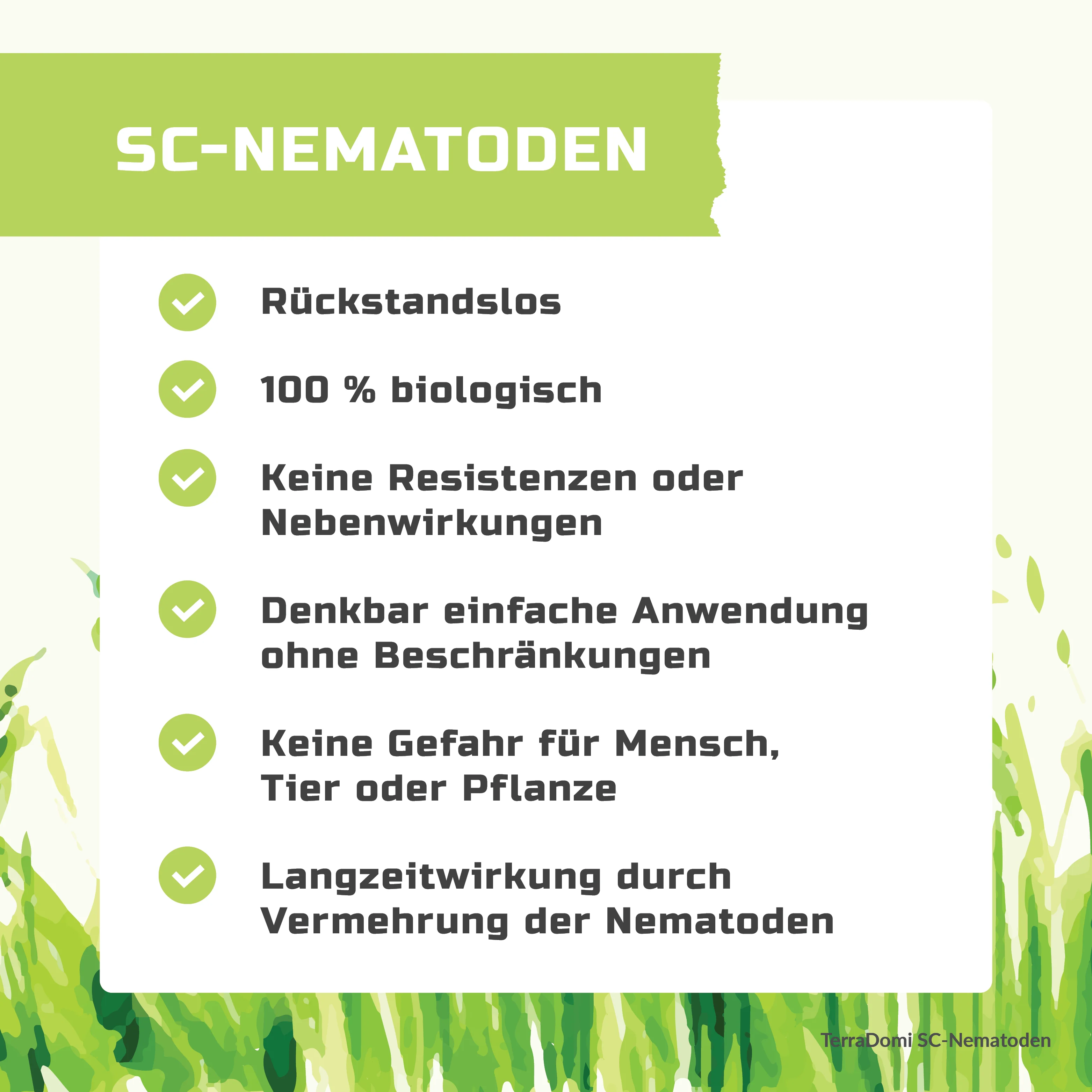 TerraDomi SC Nematoden gegen Maulwurfsgrillen, Erdraupen und Wiesenschnaken - Image 3