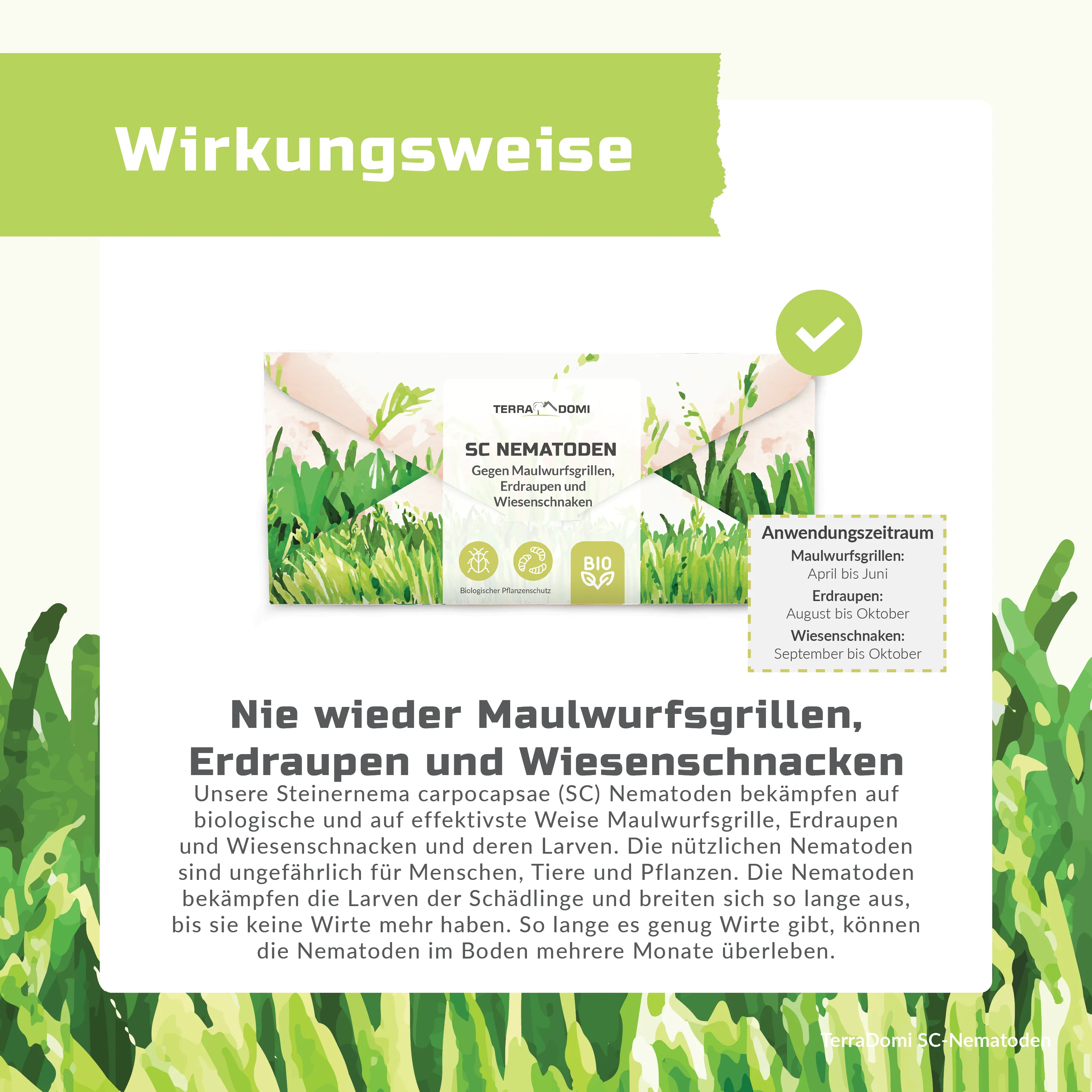 TerraDomi SC Nematoden gegen Maulwurfsgrillen, Erdraupen und Wiesenschnaken - Image 4