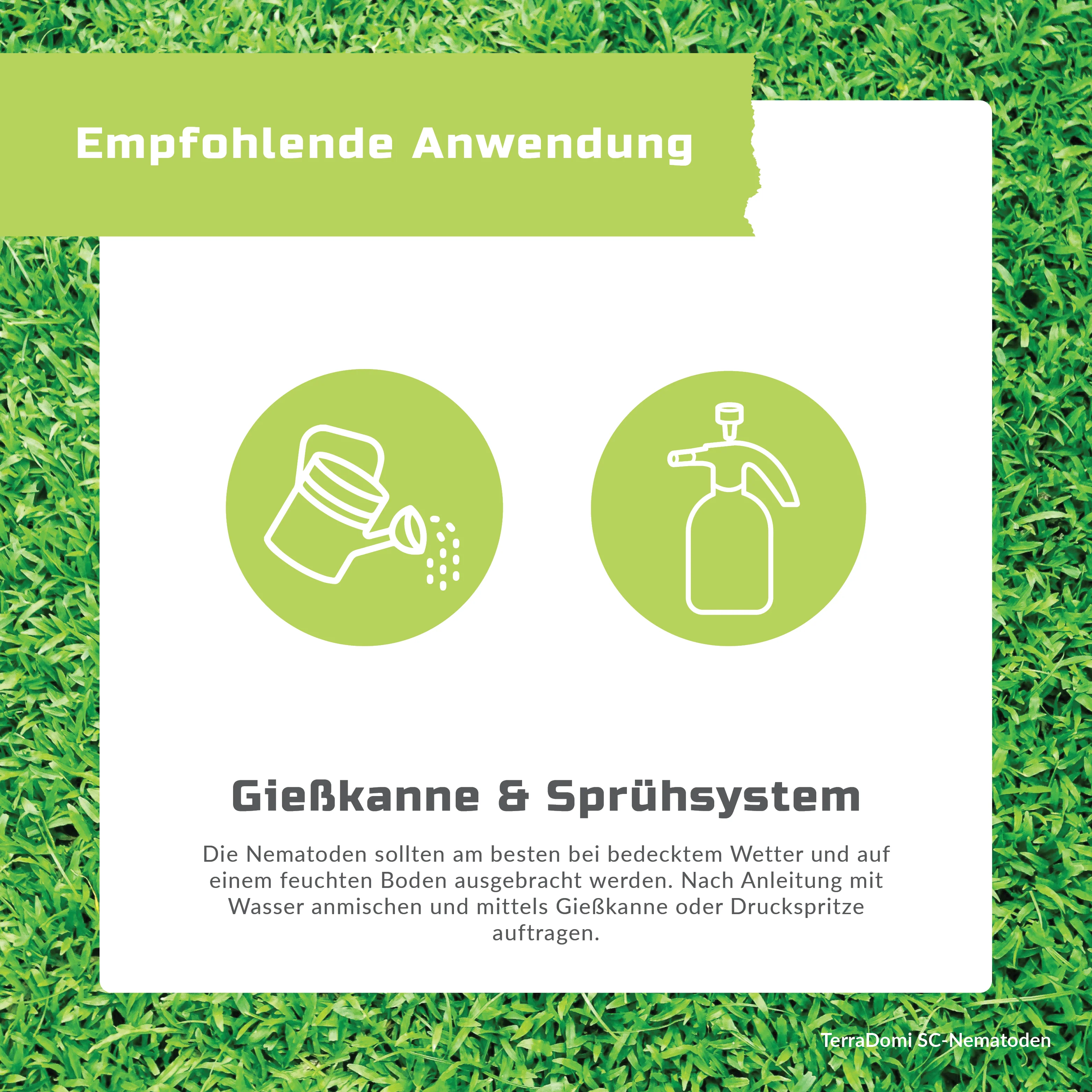 TerraDomi SC Nematoden gegen Maulwurfsgrillen, Erdraupen und Wiesenschnaken - Image 6