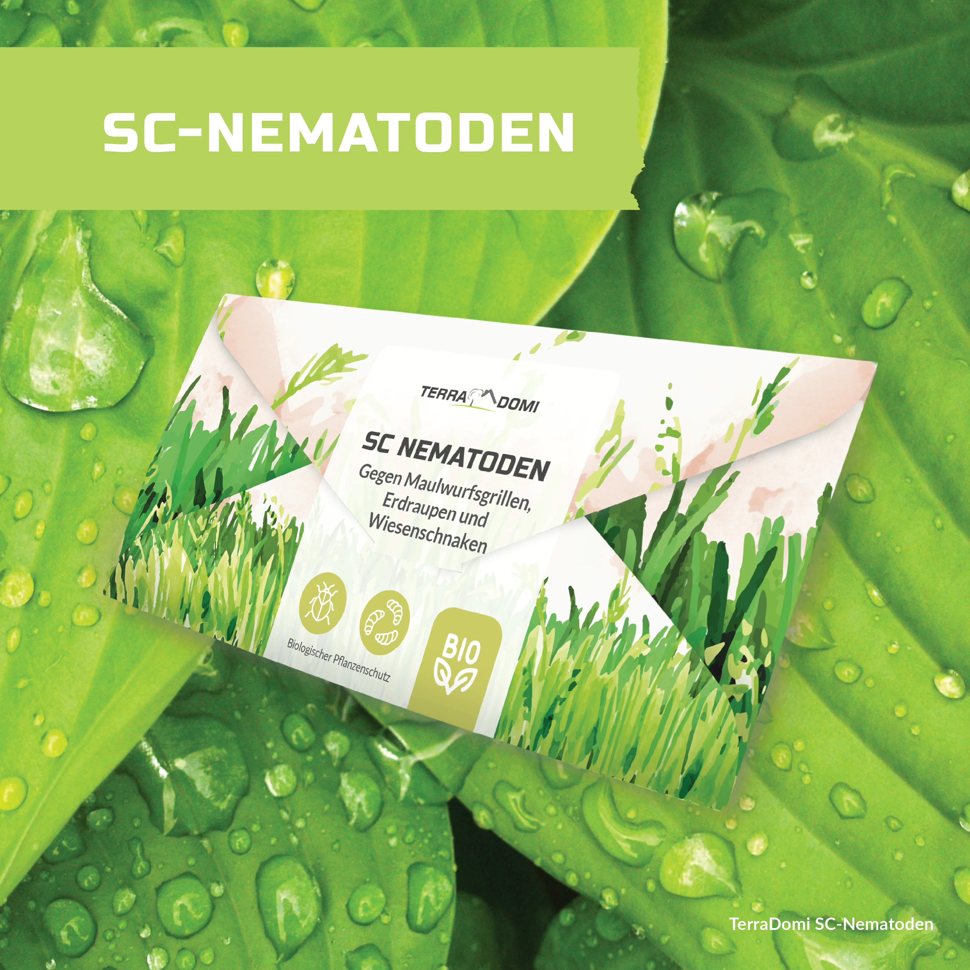 TerraDomi SC Nematoden gegen Maulwurfsgrillen, Erdraupen und Wiesenschnaken - Image 8